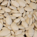 Top grade dried pumpkin seeds from Inner Mongolia